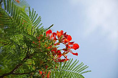 独立武侠《武林志2》敦煌场景首曝，弈棋轻功战玩法上线